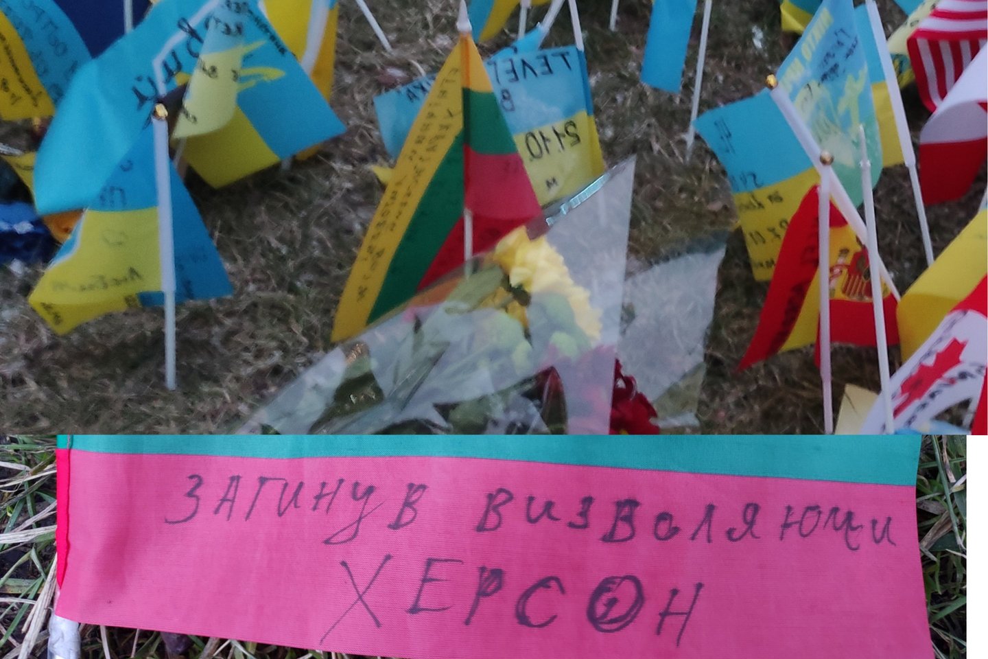 Tarp skirtingų vėliavėlių žurnalistas pamatė ir Lietuvos trispalvę, ant kurios buvo užrašyta lietuvio pavardė.<br>E.Butrimo nuotr.