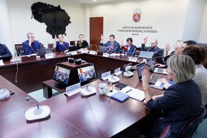 Į rinkimus Lietuvoje patraukė 109 milijonieriai: atskleidė, kaip atrodo statistinio kandidato portretas