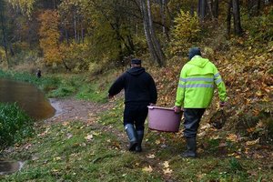 Pernai į vandens telkinius išleista beveik 13 milijonų įvairių rūšių žuvų