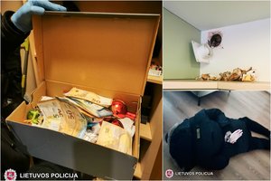 Vilniuje suduotas smūgis organizuotai grupuotei: pelnėsi iš prostitucijos ir prievartavo turtą