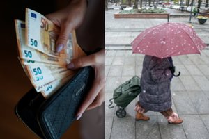 Ekonomistas R. Lazutka: antroji pensijų pakopa jau žlugusi