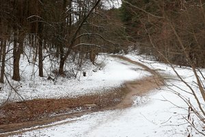 Nepilnametės išžaginimo istorijoje – tik klausimai be atsakymų: kitą mergaitę nuo košmaro gelbėjo praeiviai