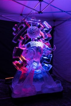  Jelgavos ledo skulptūrų festivalis.<br> R.Subatovičiaus nuotr.