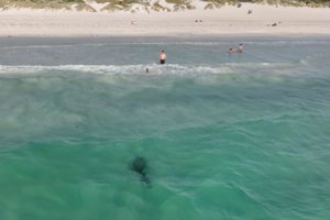 Vakarų Australijoje ryklio auka tapo 16-metė paauglė
