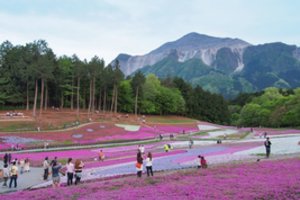 Pažintis su Tekančios saulės šalimi – parodoje „Kuriama aplinka. Alternatyvus gidas po Japoniją‘‘