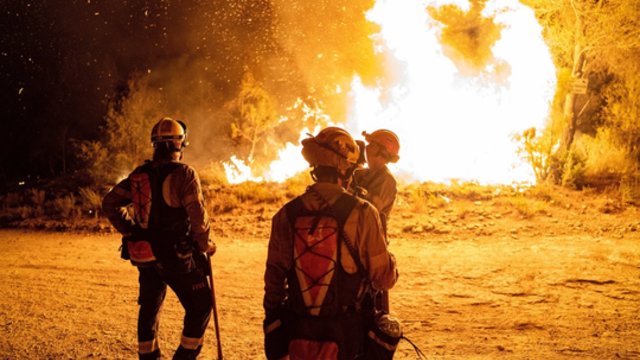 Čilę alina miškų gaisrai: mažiausiai 22 žmonės žuvo, šimtai priversti glaustis prieglaudose