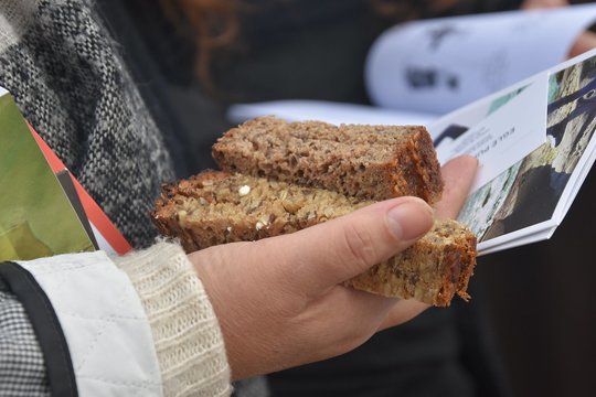Minint Šv. Agotos dieną, medikai atsakė, kokią duoną valgyti sveikiausia