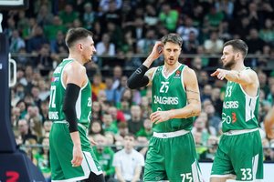 Lietuvos sporto savaitė: „Žalgirio“ duobė, teniso rinktinės pergalė ir E. Jankausko sugrįžimas