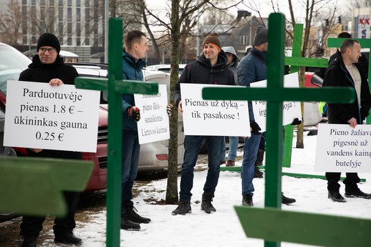 Lietuvos ūkininkai piktinasi dėl smarkiai kritusių pieno supirkimo kainų.<br>D.Labučio nuotr.