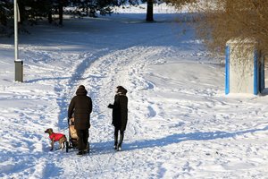 Naktimis kandžiosis šaltukas, tačiau dienomis palepins saulės spinduliai: sinoptikai praneša, kur jų teks daugiausia