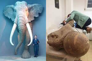 Neandertaliečiai medžiojo įspūdingus dramblius – vienas toks visą mėnesį išmaitindavo 100 žmonių