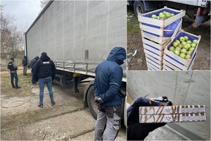 Muitinės pareigūnams įkliuvo rekordinė kontrabanda: Kaune sulaikyta 2,58 mln. eurų vertės rūkalų siunta