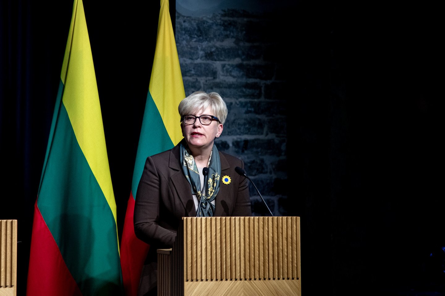 Ingrida Šimonytė.