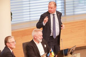 S. Skvernelis apie galimą informacijos nutekinimą K. Bartoševičiui: V. Čmilytė-Nielsen galėjo tapti aplinkybių auka