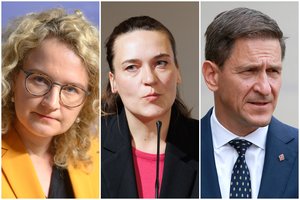 Priremti prie sienos ministrai sureagavo į konservatorės skambutį K. Bartoševičiui