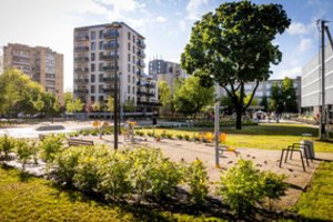 Vyriausybė nesutinka, kad už želdynų sunaikinimus miestuose būtų skirtos didesnės baudos