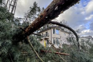 Ministerijos planus pavadino „žaliuoju smegenų plovimu“: savireklama pridengiami nevykstantys svarbūs darbai 