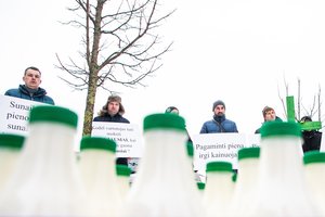 Pieno gamintojų kooperatyvas didins pieno supirkimo kainas: tikslių skaičių kol kas neatskleidžia