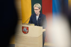 N. Grunskienė detaliai nupasakojo susitikimo su V. Čmilyte-Nielsen aplinkybes