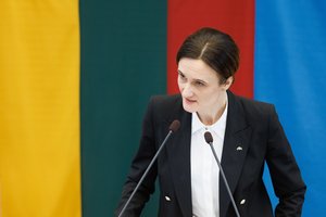 Seime nuskambėjo V. Čmilytės-Nielsen atsakymai į paruoštus klausimus dėl K. Bartoševičiaus: išdėstė visą veiksmų chronologiją