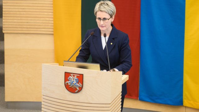 N. Grunskienė atsakė į Seimo narių klausimus: papasakojo, kas vyko susitikus su Seimo pirmininke