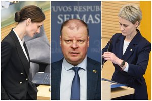 S. Skvernelis apie skirtingus Seimo pirmininkės ir generalinės prokurorės atsakymus: „Koks melo ir purvo srautas ant mūsų pilamas“