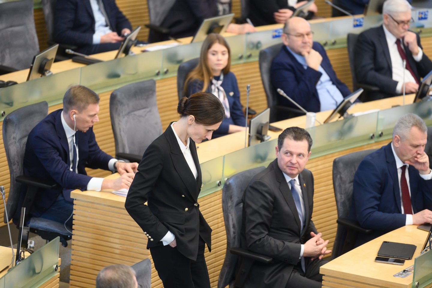 V.Čmilytė-Nielsen<br>V.Skaraičio nuotr.