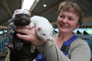 Ekonomistas neištvėrė – suskaičiavo, kiek milijonų prireiks žvėrelių fermoms sunaikinti