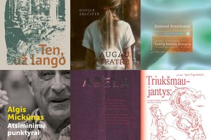 Išrinktas kūrybiškiausių 2022 m. lietuvių autorių knygų dvyliktukas