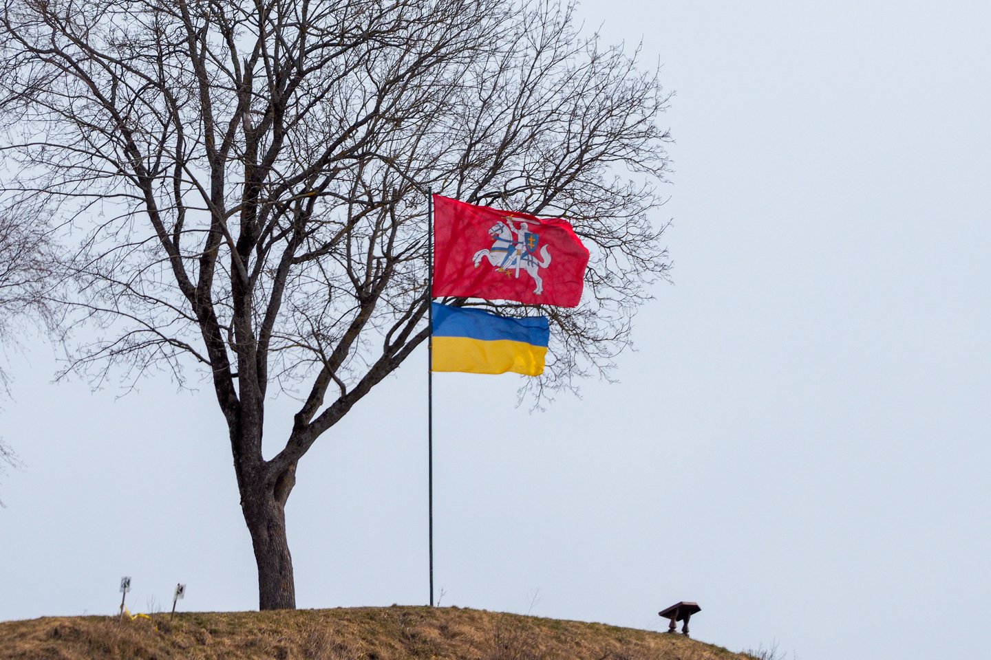 Ukrainos ir Lietuvos vėliavos