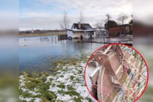 Paaiškėjo šokiruojantis faktas: sodininkų bendriją Kėdainiuose kažkas skandino piktybiškai