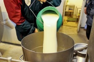 Ministerija prakalbo apie viso pieno ūkio struktūrinę pertvarką – štai ko siekia