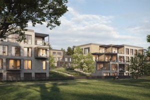 Paviešinti „Darnu Group“ planuojamo naujo prestižinio kvartalo sostinėje projektiniai pasiūlymai ir pirmosios vizualizacijos