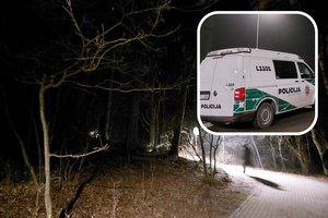 Atskleidė detales apie Klaipėdoje rastą išrengtą paauglę: vyko Valentino dienos vakarėlis, užpuolimo versija atmesta