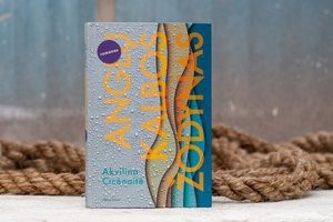 Jurgos Ivanauskaitės premija skirta Akvilinai Cicėnaitei