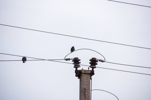 Daug sąmyšio dėl įstatymo: įžvelgia diskriminuojančias konkurencines sąlygas elektros gamintojams