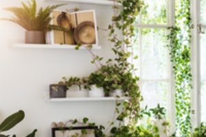 Interjero dizainerė pataria, kaip tvarkingai namuose eksponuoti suvenyrus ir kitus širdžiai mielus daiktus (idėjų galerija)