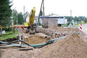 Vilioja kurtis kaime – kompensuos ir subtilias išlaidas