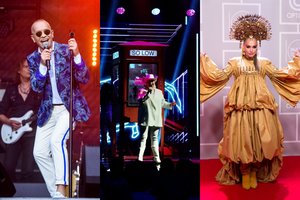 K. Kerbedis „Eurovizijos“ atrankos dalyvę išvadino kiaule: elgesį sukritikavo I. Stonkuvienė