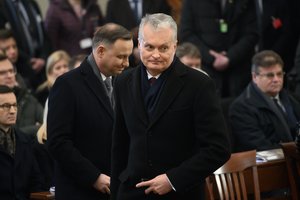Gręžtis į Lenkiją dėl brigados dislokavimo valdžią raginantis A. Januška išgirdo eksperto abejonę