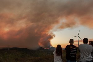 Naujas tyrimas atskleidė katastrofiškus faktus: žengiame į „pražūties kilpą“
