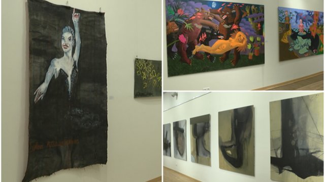 Panevėžyje pristatyta šiuolaikinio meno paroda: joje – aktyviausių Ukrainos menininkų kūriniai