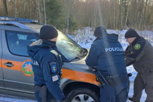 Molėtų rajone – savavališkai iškirtas miškas: aplinkosaugininkai stebi, kad mediena nebūtų išvežta