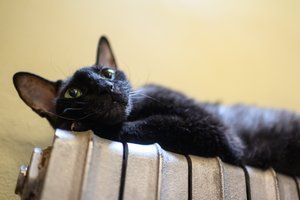 Šildymo kompensacijų tikisi rekordinis skaičius vilniečių: savivaldybė nebespėja nagrinėti prašymų