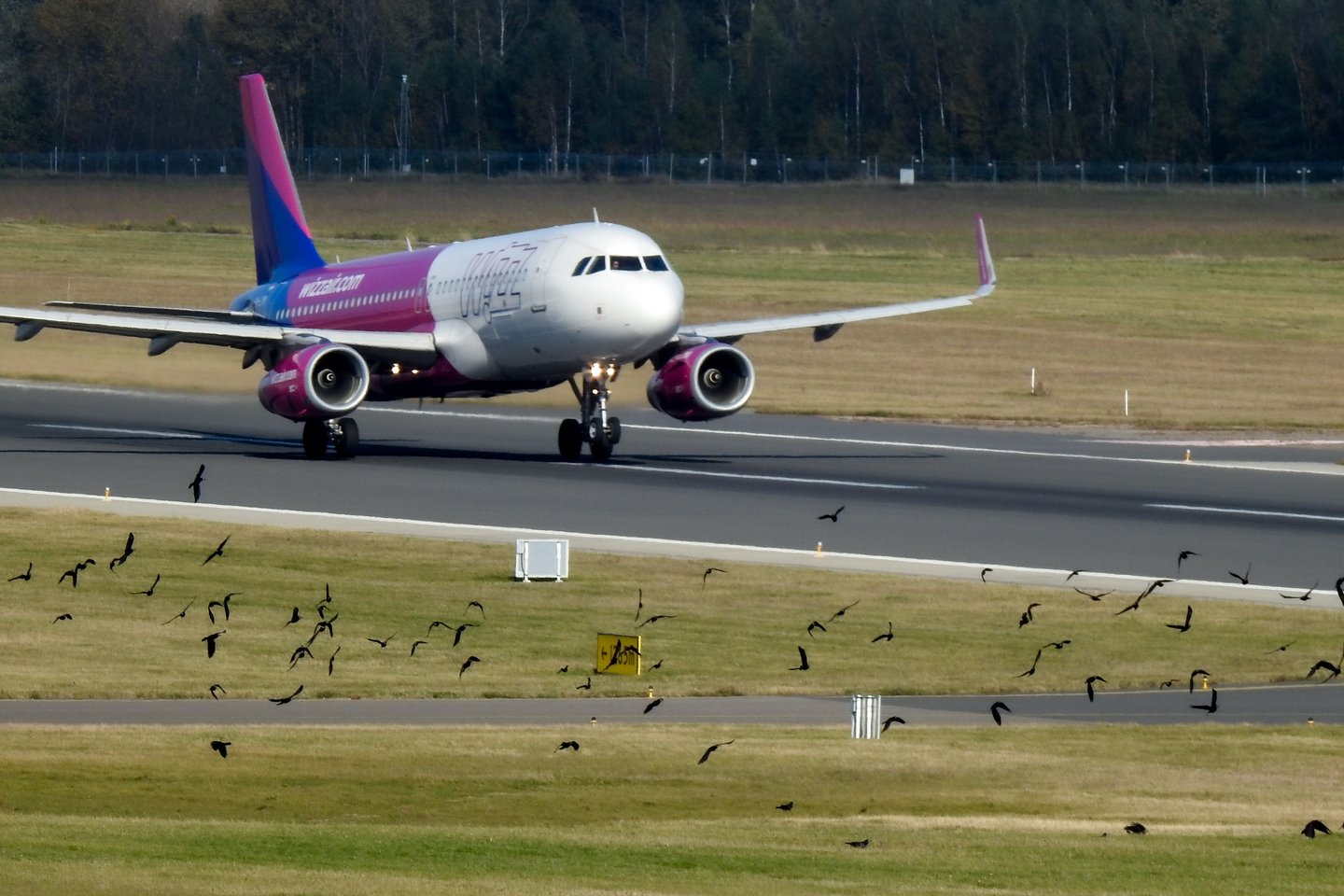 „Wizz Air“ skraidins iš Vilniaus į Malagą.<br>V.Ščiavinsko nuotr.