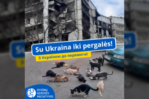 „Gyvūnų gerovės iniciatyvos“ jau padėjo tūkstančiams Ukrainos gyvūnų, bet parama vis dar labai reikalinga