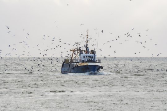 Šiais metais Lietuvos žvejai galės pagauti daugiau stauridžių