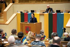 V. Čmilytė-Nielsen: Rusijos karo Ukrainoje sukaktis yra pagrindas padaryti tam tikras išvadas