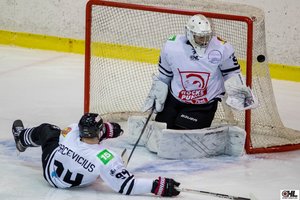 „Hockey Punks“ sezoną OHL reguliariajame sezone baigė aštunta