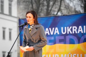 V. Čmilytė-Nielsen siūlo naują atmintiną dieną: Pasaulinė nevyriausybinių organizacijų diena